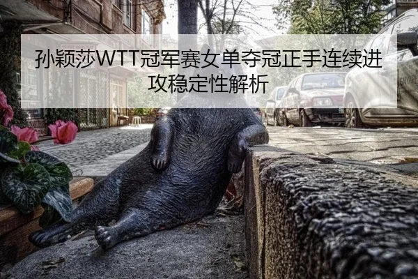 孙颖莎WTT冠军赛女单夺冠正手连续进攻稳定性解析